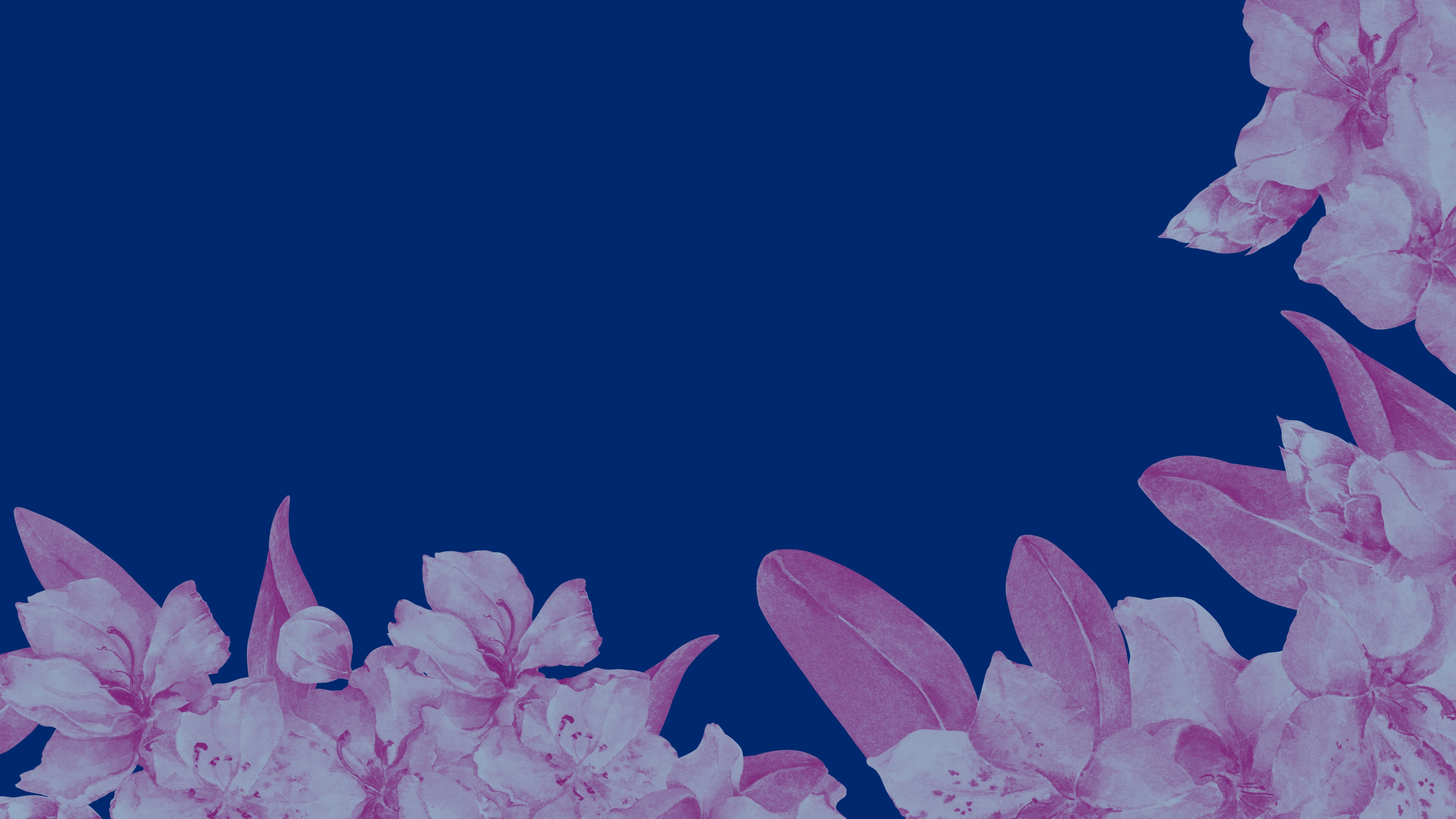 Rhododendrons on a blue background